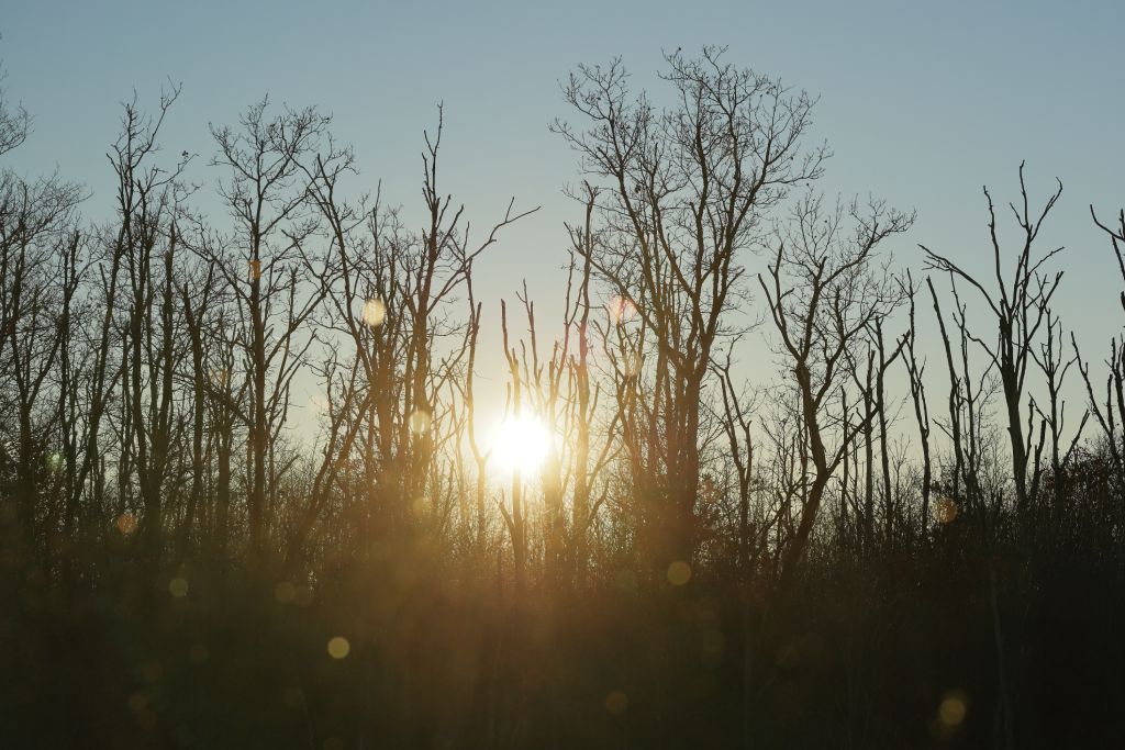 Selection Diverse, Belgique, Sur La Route