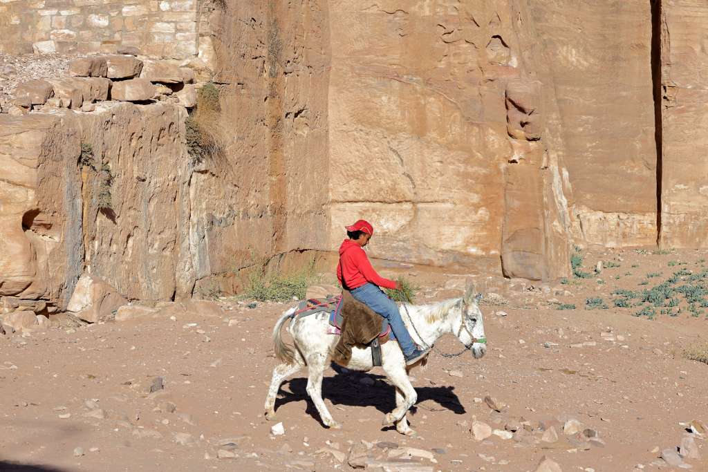 Misc, Divers, Jordanie Selection