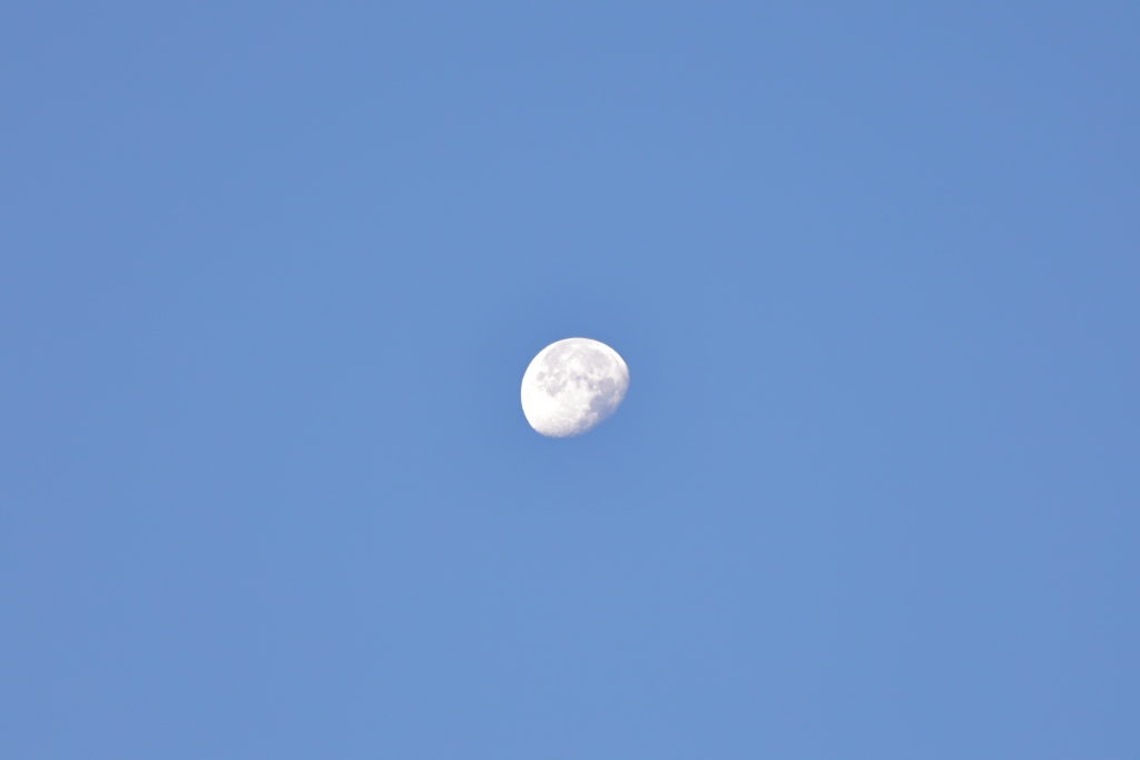 Misc, Divers, Jordanie Selection